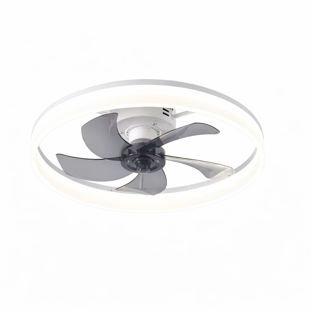 Filo | Slim Designer Ceiling Fan With LED Light