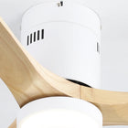 Brezza | Modern Ceiling Fan With LED Light 5