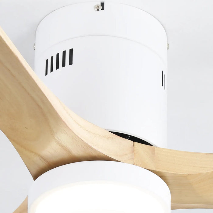 Brezza | Modern Ceiling Fan With LED Light 5