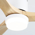 Brezza | Modern Ceiling Fan With LED Light 6