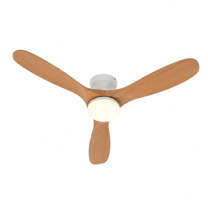 Terra | Solid Timber Ceiling Fan With LED Light 6